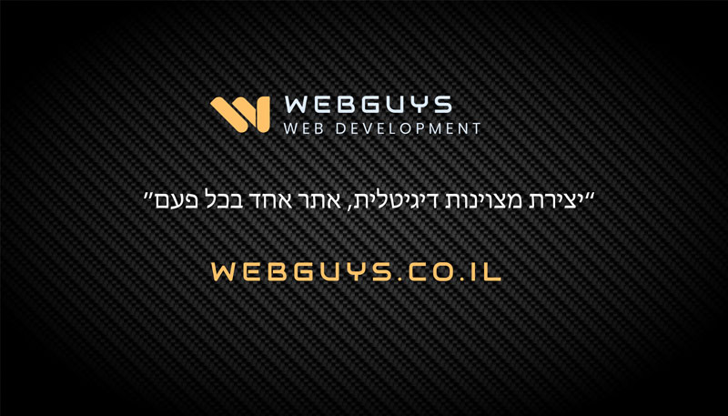 Webguys - מצוינות דיגיטלית, אתר אחד בכל פעם